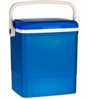Nevera Portátil con Asa  (13L - 32 x 24 x 30 cm)