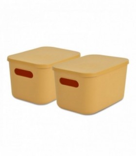 Pack de 2 Caja de Plástico con Tapa, 2 Asas, (Amarillo, 25x17,5x14,5 cm)