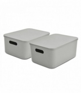 Pack de 2 Caja de Plástico con Tapa, 2 Asas, (Gris, 34,9x24,8x15,5 cm)