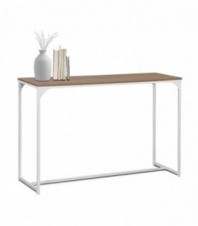Mueble Recibidor para la Entrada, Metal y Madera MDF, 120x39x79 cm (Blanco y Madera)